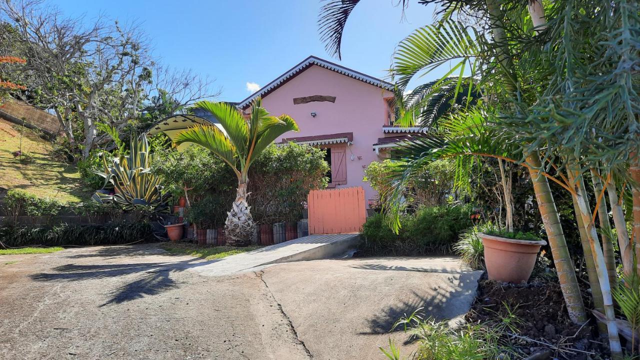 Le Quelea Une Case Creole De Charme Classee 4 Etoiles Y Etre C'Est Y Etre Bien Noël Extérieur photo